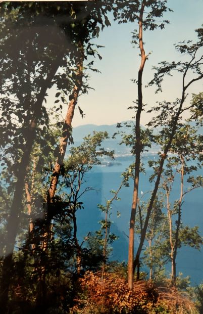 vista del lago di Garda
